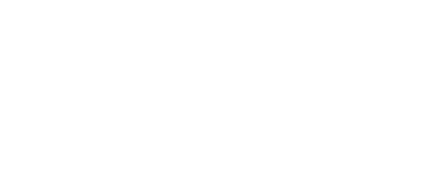 logo of the web designer Leesehold